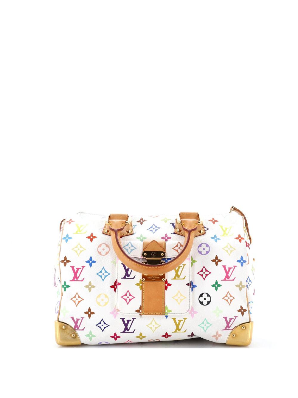 Louis Vuitton Speedy Handbag Multicolor #364755L24B